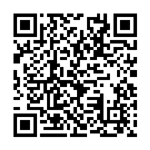 陈长生忽然发现接下来的话自己不知道该怎么说了二维码生成