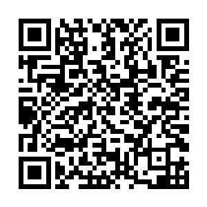 陈长生的剑曾经在墓老板的胸前停滞过极短暂的一瞬二维码生成