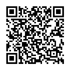 陈长生看着娄阳王微显笨拙的动作与笨重的身躯二维码生成