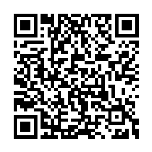 陈露萍也是一脸奇怪地看了看赵爽脸上的伤口道二维码生成
