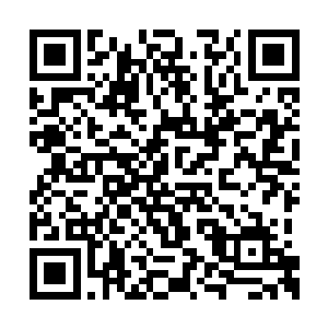 陌上行手中亮起一道白光在毒灵脑袋上拍了一下二维码生成