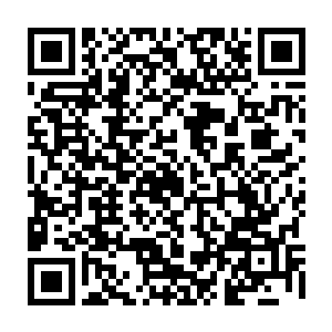 院子里的侍卫看着自家王爷对着王妃极尽谄媚形象全无的模样早就习以为常了二维码生成