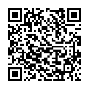 除了一些需要随组的普通演员还没有最后敲定之外二维码生成