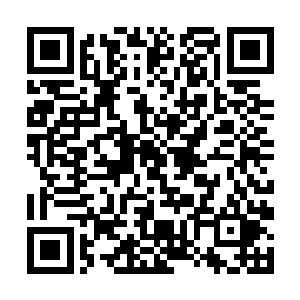 除了东部宗门弟子能够干出轰炸他洞府和药园的事情二维码生成