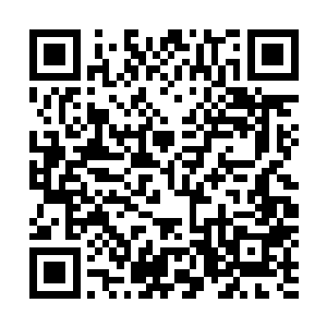 除了他在端木神王空间戒指里所寻到的那紫鳞石以及玄雷岩二维码生成