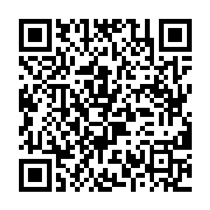 除了会去完成李谦心中有关推广民族文化的执念之外二维码生成