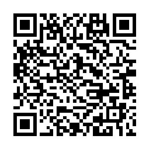 除了何组长带了一队人跟我来一中这边抓唐东升以外二维码生成