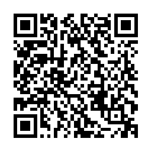 除了刚出生还不强壮的几只冻死以外其他的还都挺精神的活着二维码生成