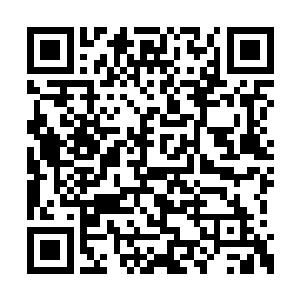 除了嘱咐他们好好吃东西以外凌菲什么都做不了二维码生成