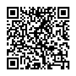 除了地下留下的尸体可以证明了他们曾经确实出现过之外二维码生成