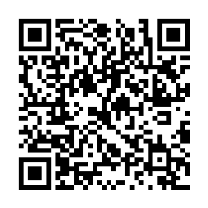 除了太平令和词牌名为寒姑的太子妃勉强支撑台面二维码生成