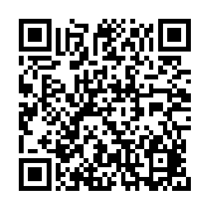 除了开始跳下去的那口煞气深洞里有两颗石头蛋二维码生成