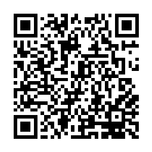 除了张傲曹管等几个入圣境施展出来的特殊手段二维码生成