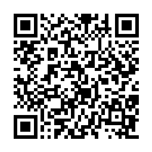 除了张毅就只有徐怀瑾了……他们俩亲自动手了二维码生成