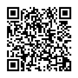 除了打了一些一两重一个的小金裸子留着把玩或者花用二维码生成