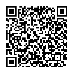 除了捕食器官就是消化器官――这种生物的消化能力甚至比巨龙还要强二维码生成