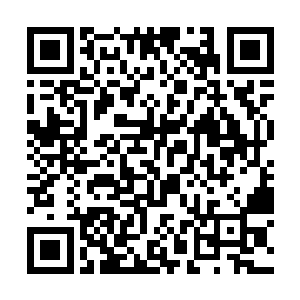 除了攀沿在它身上的一种妖冶的开着蓝色花朵的藤蔓二维码生成