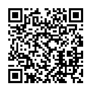 除了星域宗和神机宗的大修士冷然地看了许紫烟一眼二维码生成