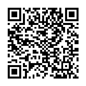 除了最后在竞拍在血妖洞天的地图的时候出了一次价之外二维码生成