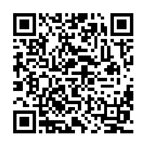 除了流墨墨依旧滑稽的背着足比她高了三分之一的雪如楼二维码生成