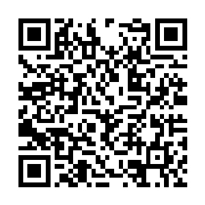 除了潜龙堂的家族学员是一支非常重要的力量之外二维码生成