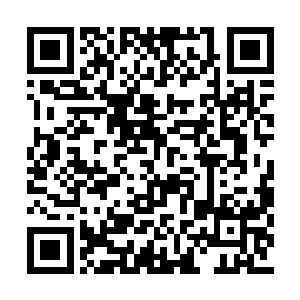 除了租赁拍摄大楼的业务其余业务都进入审查期二维码生成