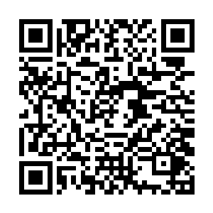 除了肉以外族长大人野菜和野果在他眼里都是一样的二维码生成