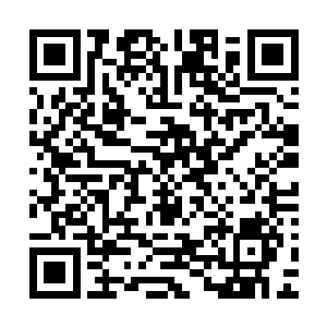 除了肖红因为年龄和工作生活压力关系让她看起来很显老以外二维码生成