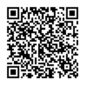 除了苗毅手指上储物戒里来自五华夫人的两颗一品妖丹没抖搂出来外二维码生成