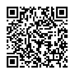 除了菲尼克斯没人有理由杀死的人死在了自己的营房里二维码生成