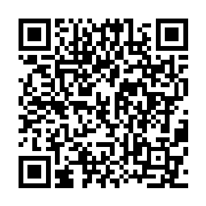 除了被二牛和黑狗拉着偷看过一次下河村南头那户寡妇洗澡二维码生成