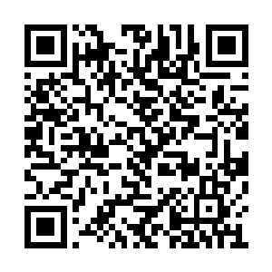 除了要逊色二货这个来历高得变态的神秘喵之外二维码生成