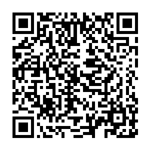 除了让准备红包之外还把自己的一对儿孩子损了一遍的反应很简单二维码生成