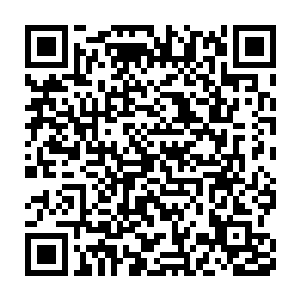除了那个带头的人之外其余的七个人的胸口纷纷的出现了一个血红二维码生成