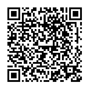 除了那个著名不着调的东京电视台还在继续不紧不慢播放自己的节目二维码生成