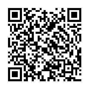 除了陌星子因为陌路离殇的尸体在背后而把其系在腰侧二维码生成