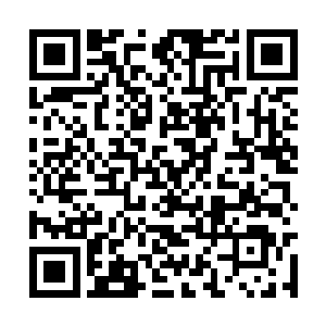 除却不到一万实在无法理解也无法忍受选择离去的二维码生成