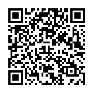 除此之外巨大的透明罩子中再没有任何其他的东西二维码生成