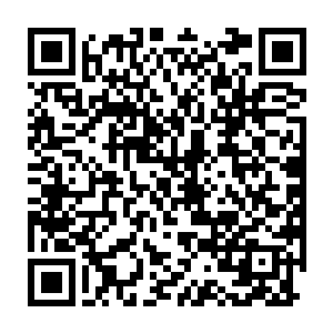 除此以外的确想不出还有什么别的理由可以解释这次的古怪宴请行为二维码生成