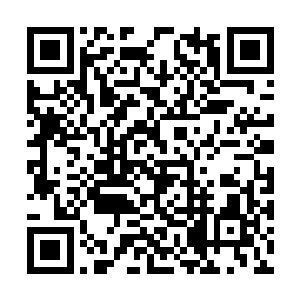 除非他实力强大到足以碾压这一片天地的天地规则二维码生成