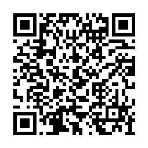 除非他能以自己的力量通过密室里幻境意志鉴定二维码生成