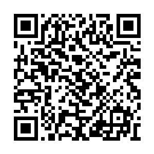 除非他讲出纸派功夫那倒是可以给他个爽快死法二维码生成