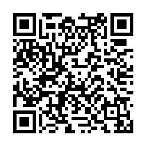除非你们能给我几个月的时间熟悉新的火炮和弹种二维码生成