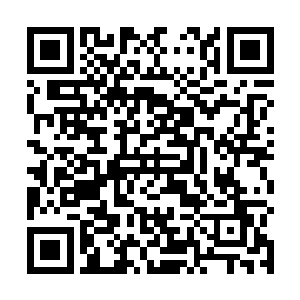 除非战王门出动大量的高阶圣级强者或者一尊绝世强者二维码生成