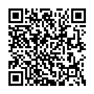 除非是白萱把血屠至尊留下的精骨再次炼化一些二维码生成