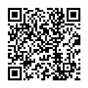 除非是遇到如开天老祖那等修为臻至太始境九重天的绝顶强者二维码生成