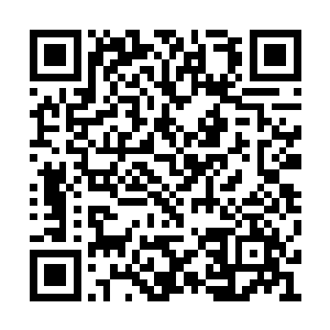 除非有对应的道兵又或亲自死上一回来供他参详二维码生成
