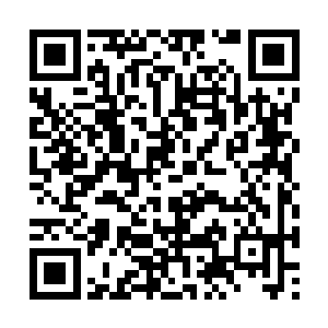 除非等她和南宫流云修炼强大到如义父那般的存在二维码生成