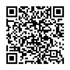 除非那些国际上都有名气的罪犯才能让这小子这么在意二维码生成