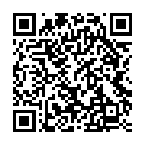 陪在他身边的是本年会议的轮值主席三星集团亚洲负责人李建生二维码生成